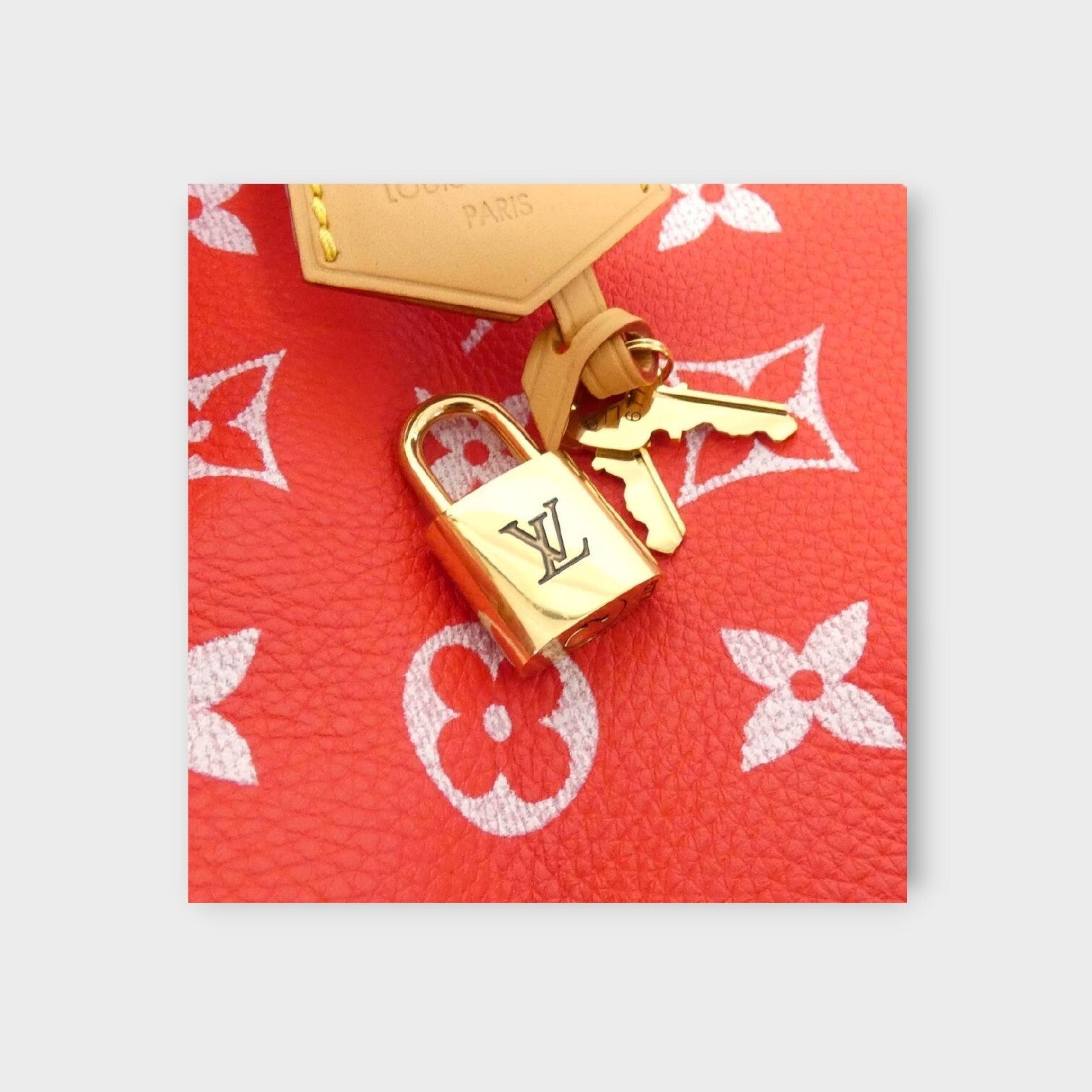 Louis Vuitton Monogram Speedy P9 Bandoulière M24420 Boston Bag Rouge【A】