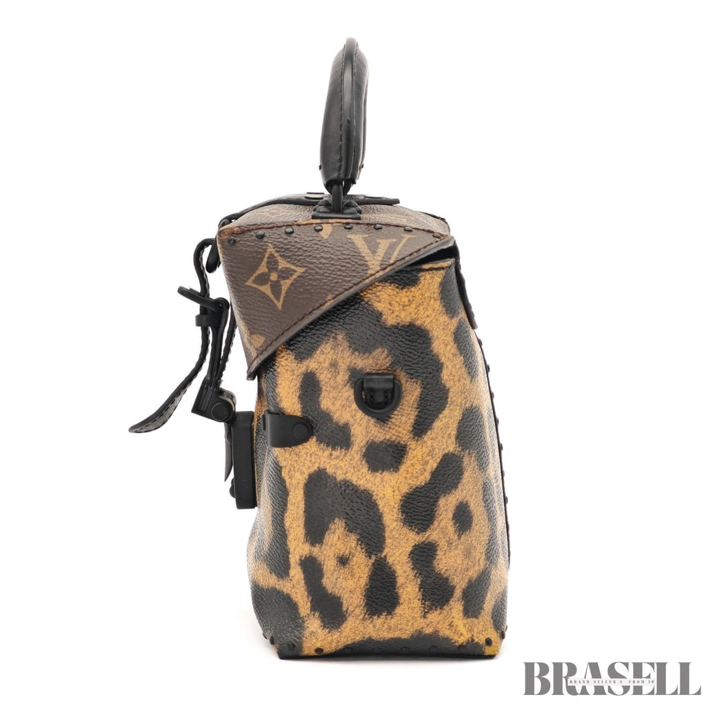 Louis Vuitton Monogram Reverse Leopard M43001 2Way Handbag Brown Black Canvas