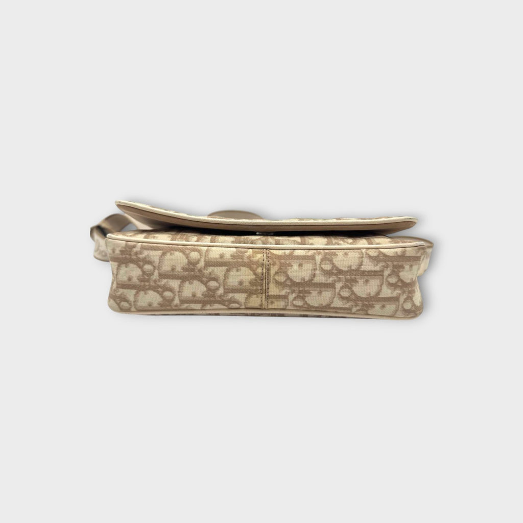 Dior Trotter Flower Embroidery Shoulder Bag CD Hardware Canvas Leather Beige 【B】