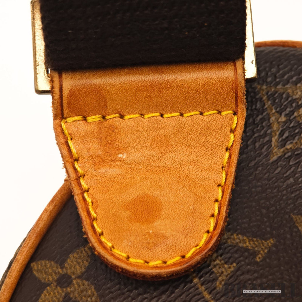 LOUIS VUITTON Pochette Gange M51870 Monogram Waist Body Bag Unisex