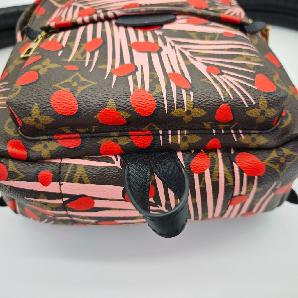 LOUIS VUITTON Palm Springs Backpack M41981 Brown Women's Bag
