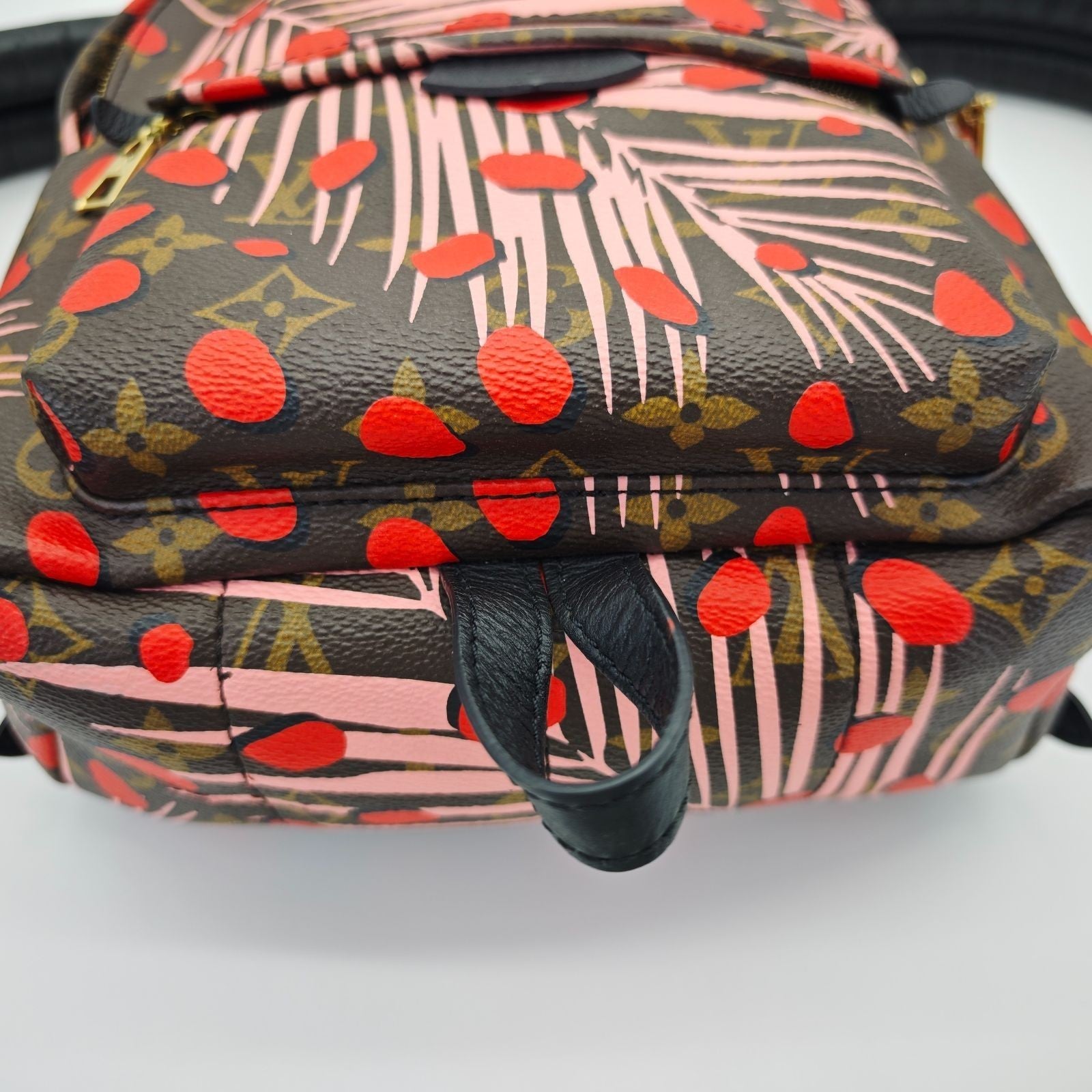 LOUIS VUITTON Palm Springs Backpack M41981 Brown Women's Bag