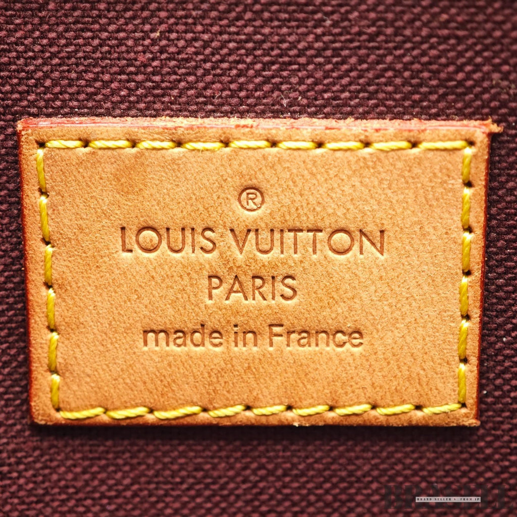 Louis Vuitton Favorite PM N41276 Handbag Mini Bag Brown With Dust Bag