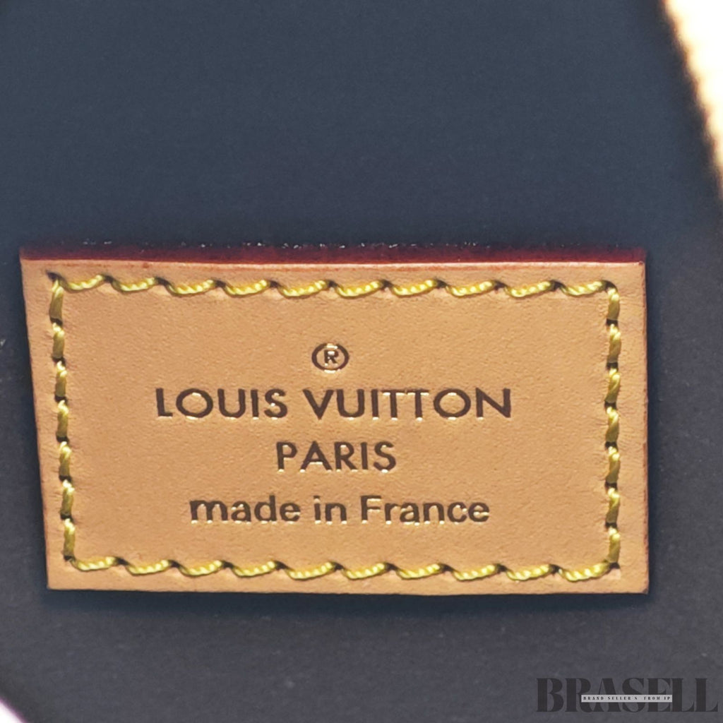 Louis Vuitton Side Trunk PM M46815 Handbag Shoulder Bag 2Way Brown