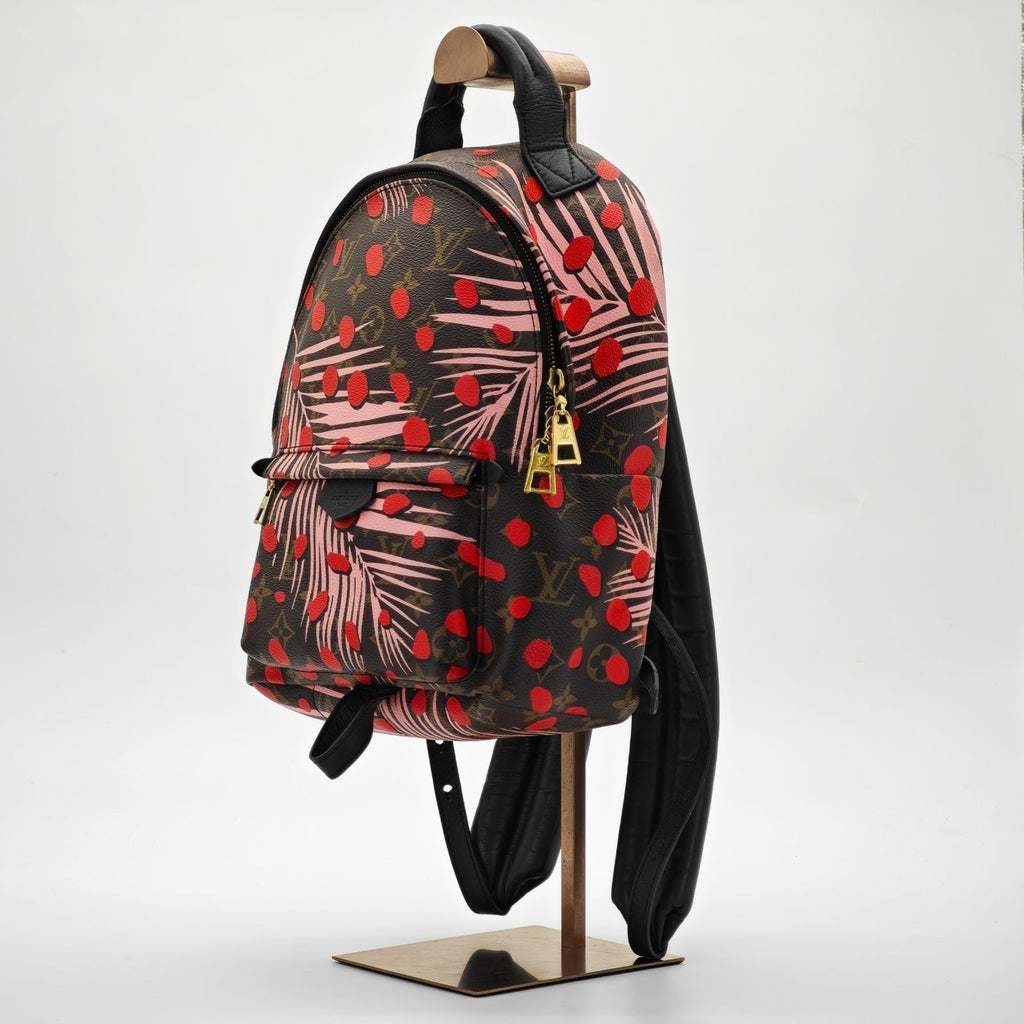 LOUIS VUITTON Palm Springs Backpack M41981 Brown Women's Bag