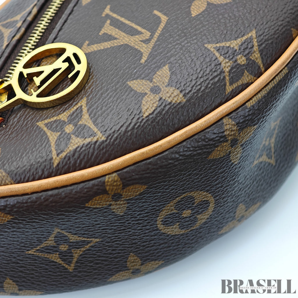 LOUIS VUITTON Loop Bag M81098 Shoulder Bag Monogram Brown