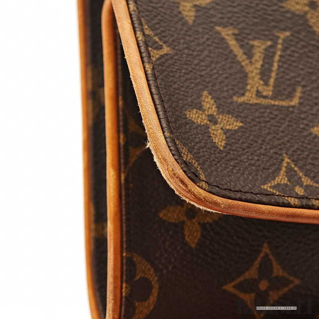 LOUIS VUITTON Pochette Twin GM 2Way Shoulder Bag Monogram Brown Spain CA0030