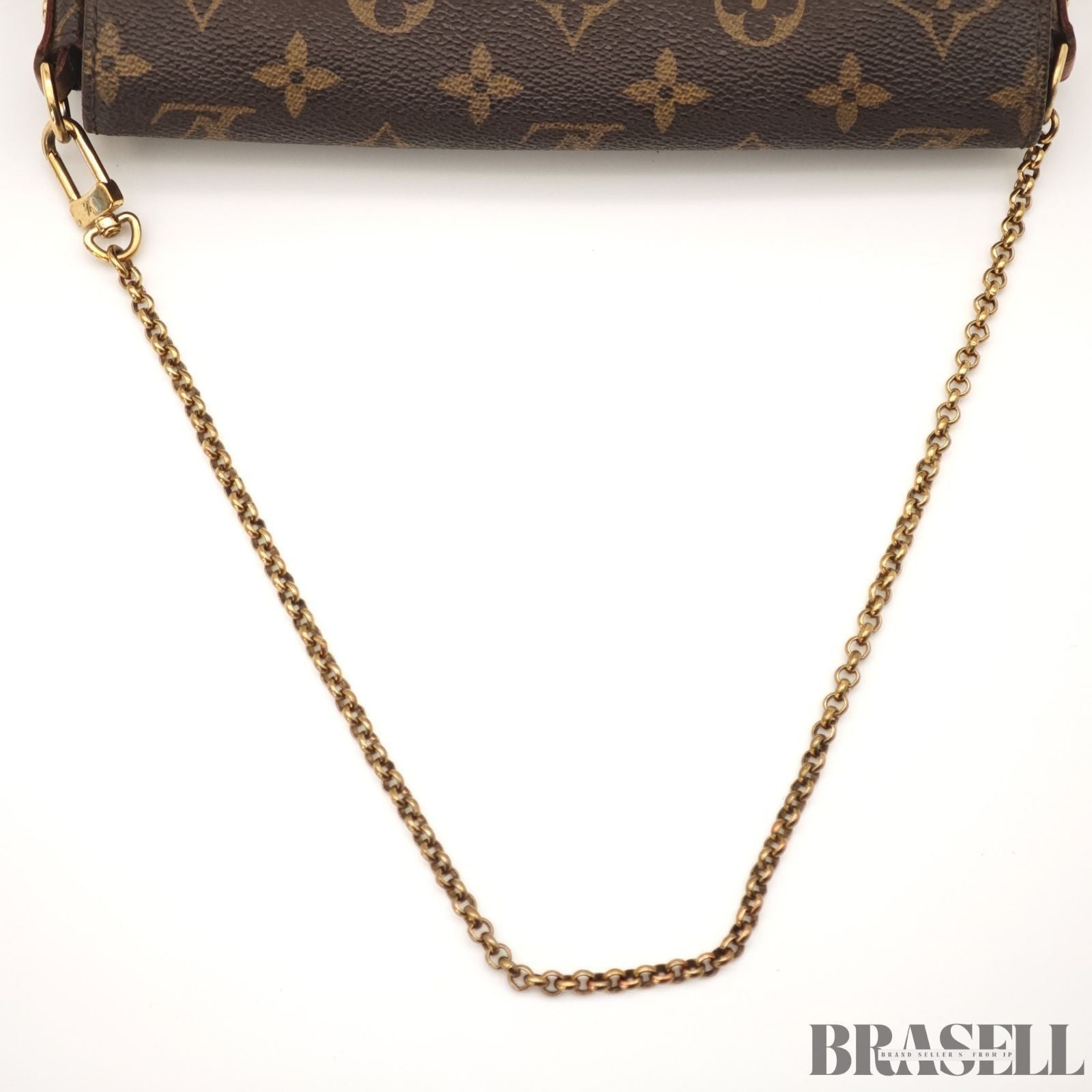 Louis Vuitton Favorite PM N41276 Handbag Mini Bag Brown With Dust Bag