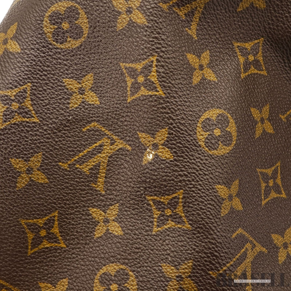 LOUIS VUITTON Petit Noe M42226 Monogram Handbag Bucket Bag Brown Women’s