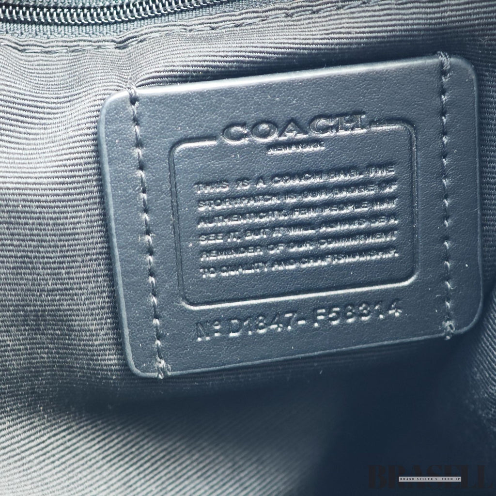 COACH Charlie Signature Backpack Brown color for Men and Women
