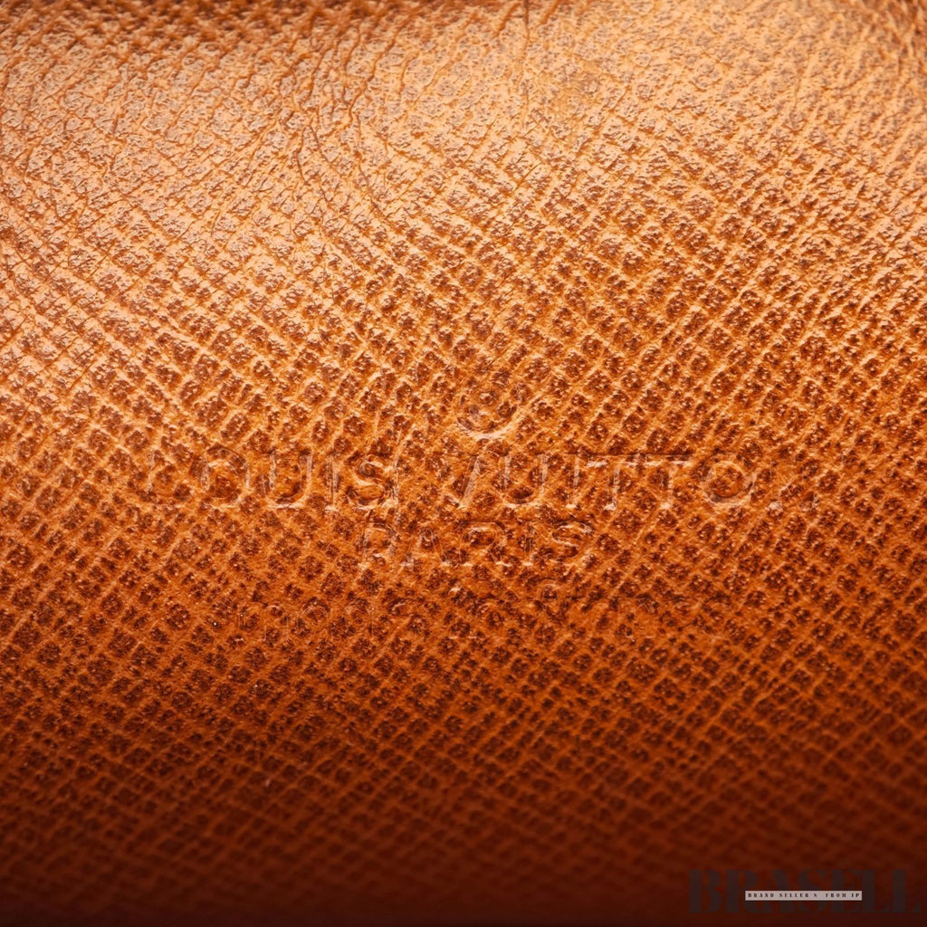 LOUIS VUITTON Danube M45266 Shoulder Bag Monogram Leather Brown France Women
