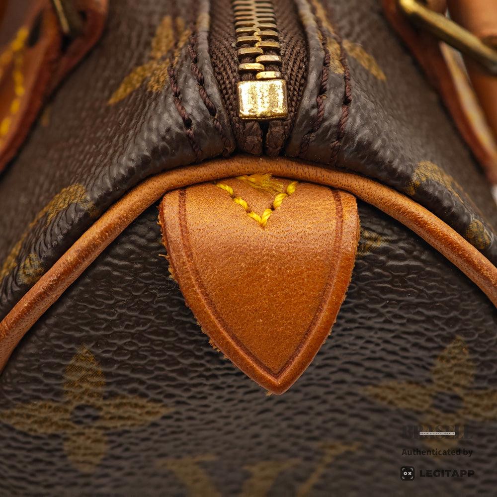 LOUIS VUITTON Mini Speedy Monogram Canvas Brown Hand Bag 【ImportFeeFREE】