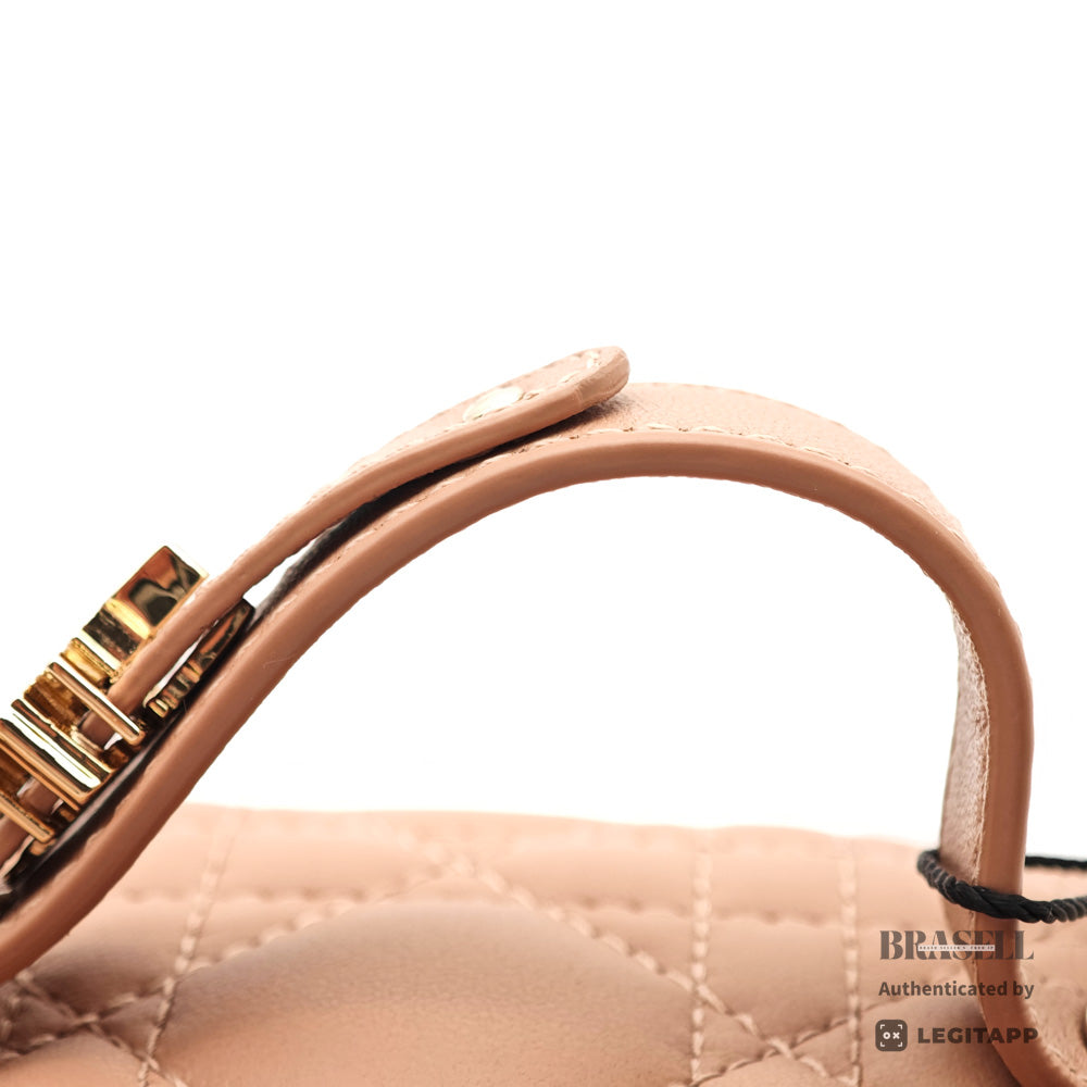 Christian Dior Leather Vanity Bag【ImportFeeFREE】