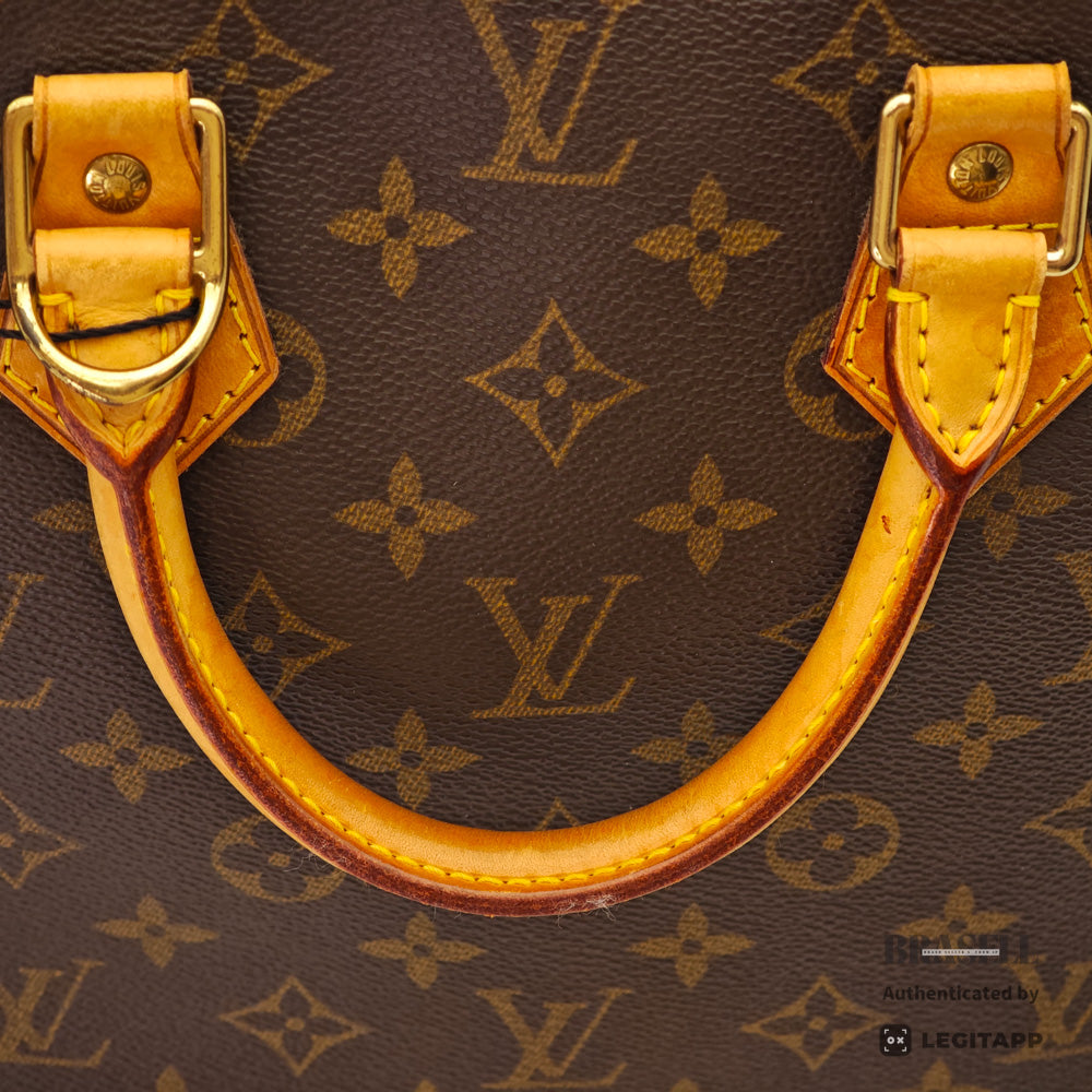 LOUIS VUITTON Alma PM Monogram Canvas Brown Hand Bag 【ImportFeeFREE】