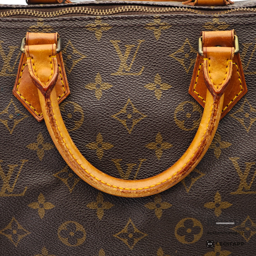 LOUIS VUITTON Speedy 40 Monogram Canvas Brown Hand Bag 【ImportFeeFREE】