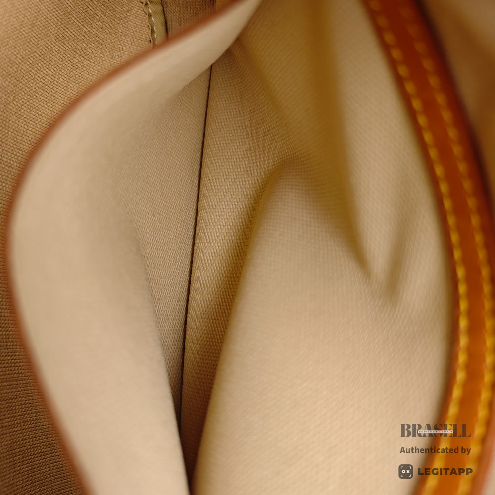 LOUIS VUITTON Reporter PM Monogram Canvas Brown Shoulder Bag 【ImportFeeFREE】