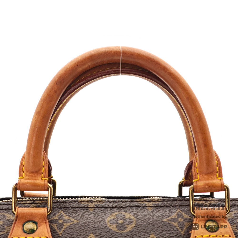 LOUIS VUITTON Speedy 30 Monogram Canvas Brown Hand Bag 【ImportFeeFREE】