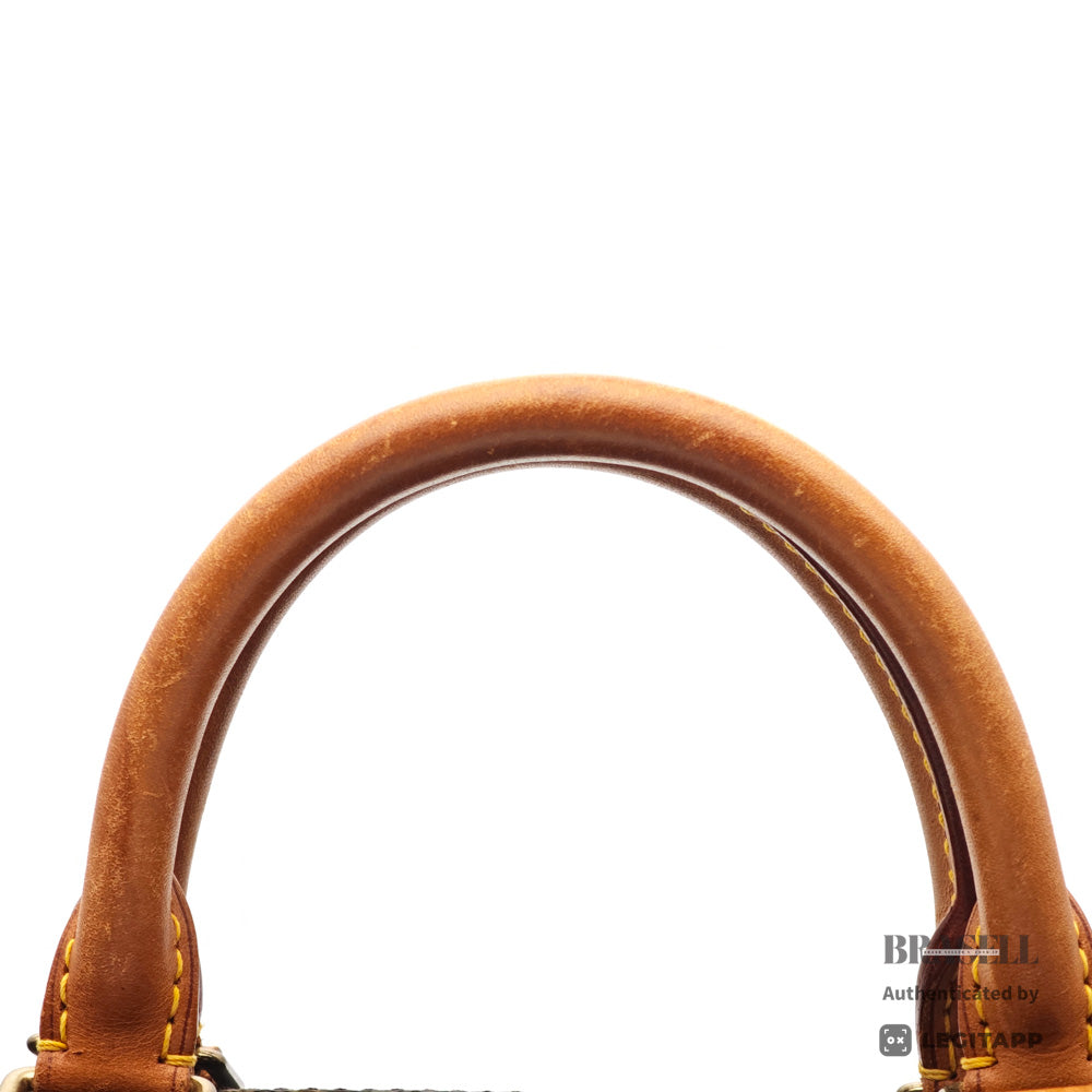 LOUIS VUITTON Speedy 35 Monogram Canvas Brown Hand Bag M41107 【ImportFeeFREE】